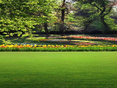 公园项目人造草坪 公园项目人造草坪
